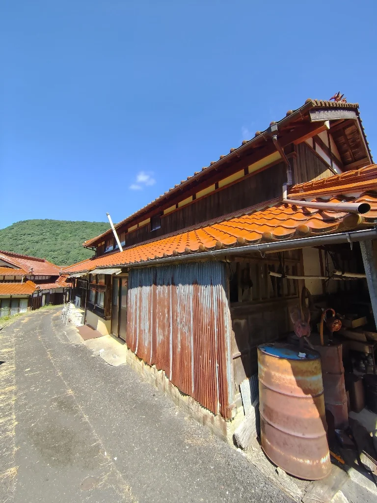 View 12