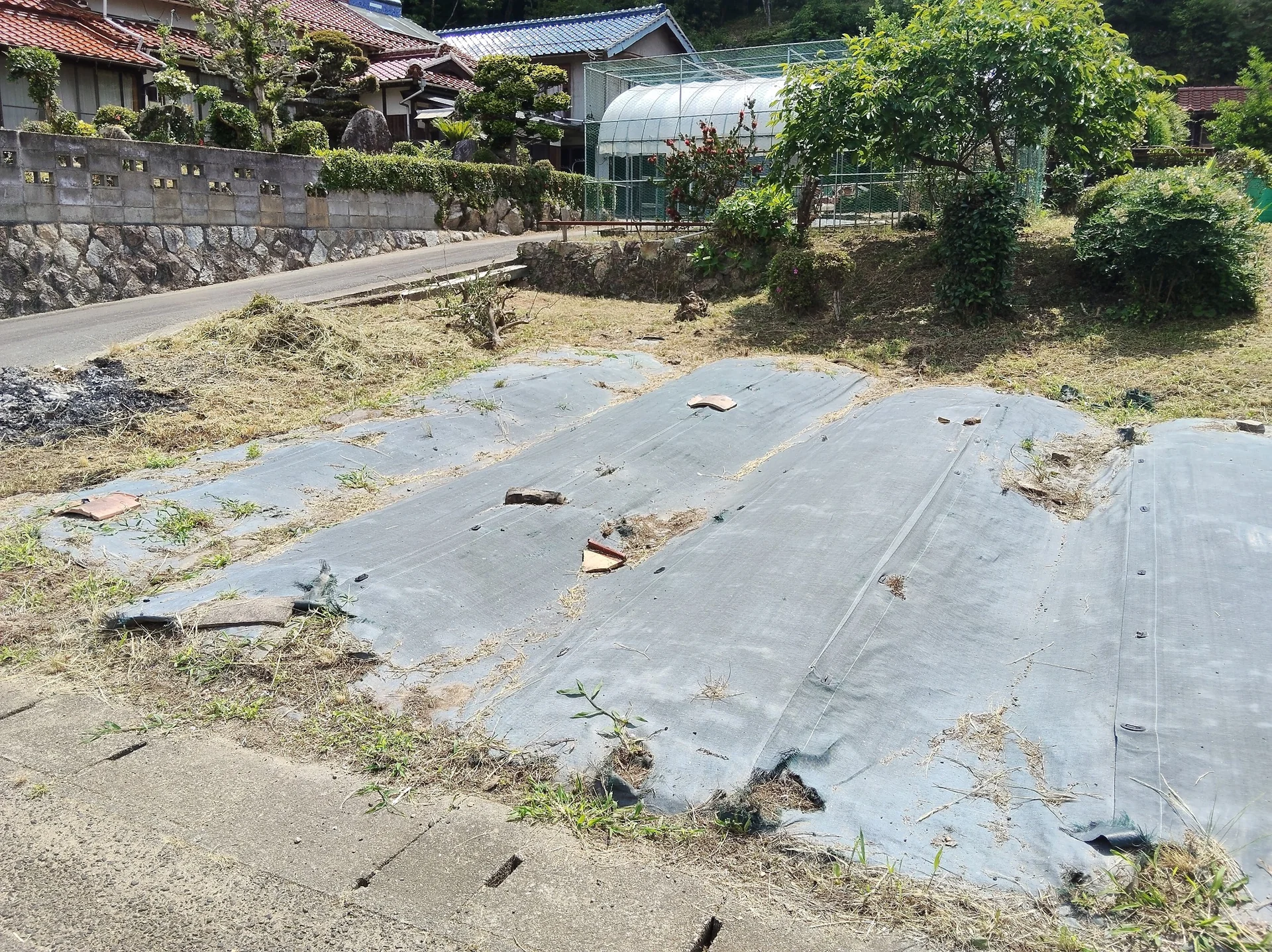 View 12