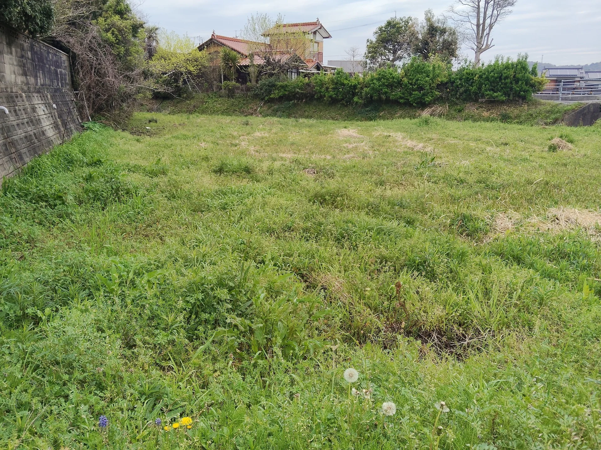 View 14