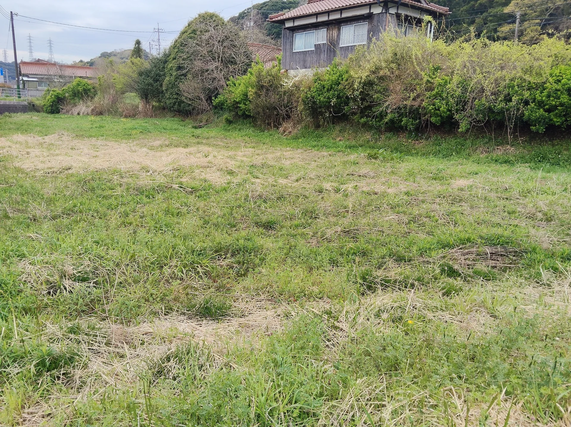 View 15