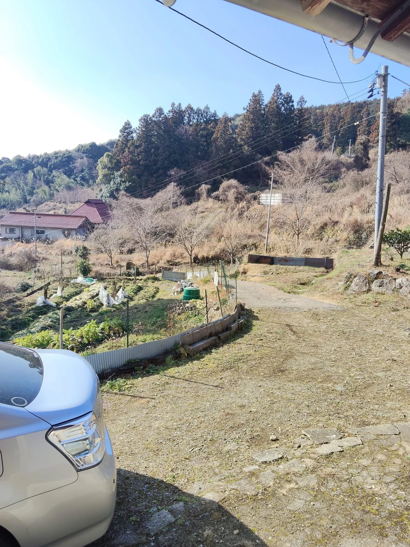 View 10