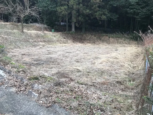 View 12