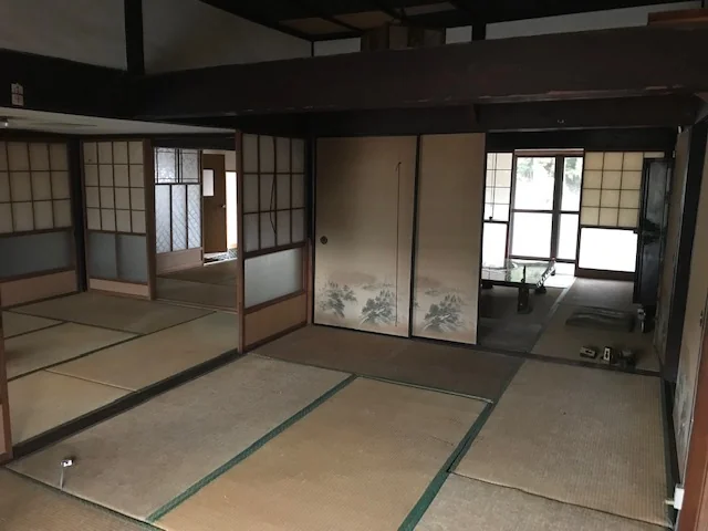 View 5