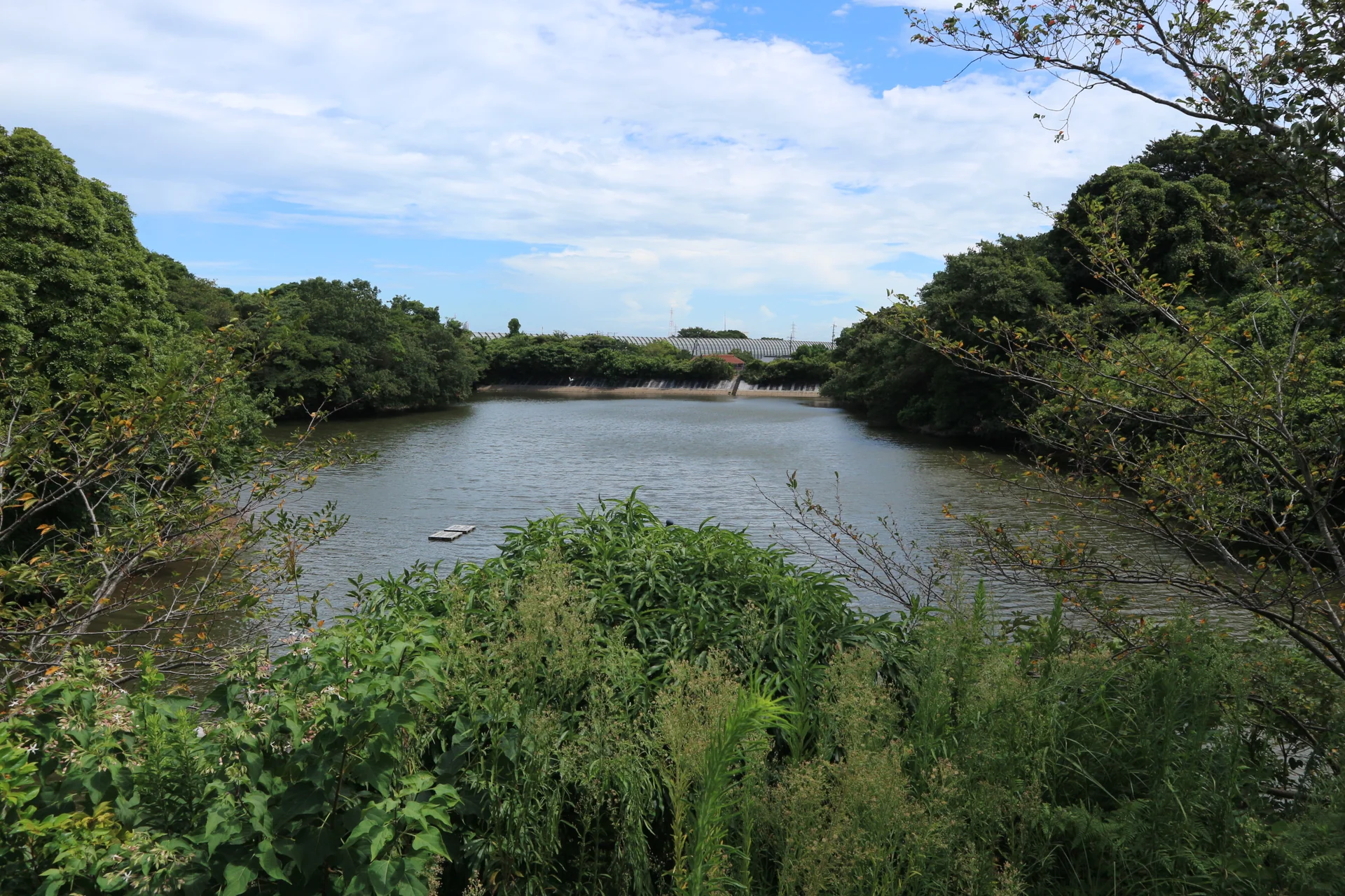 View 16