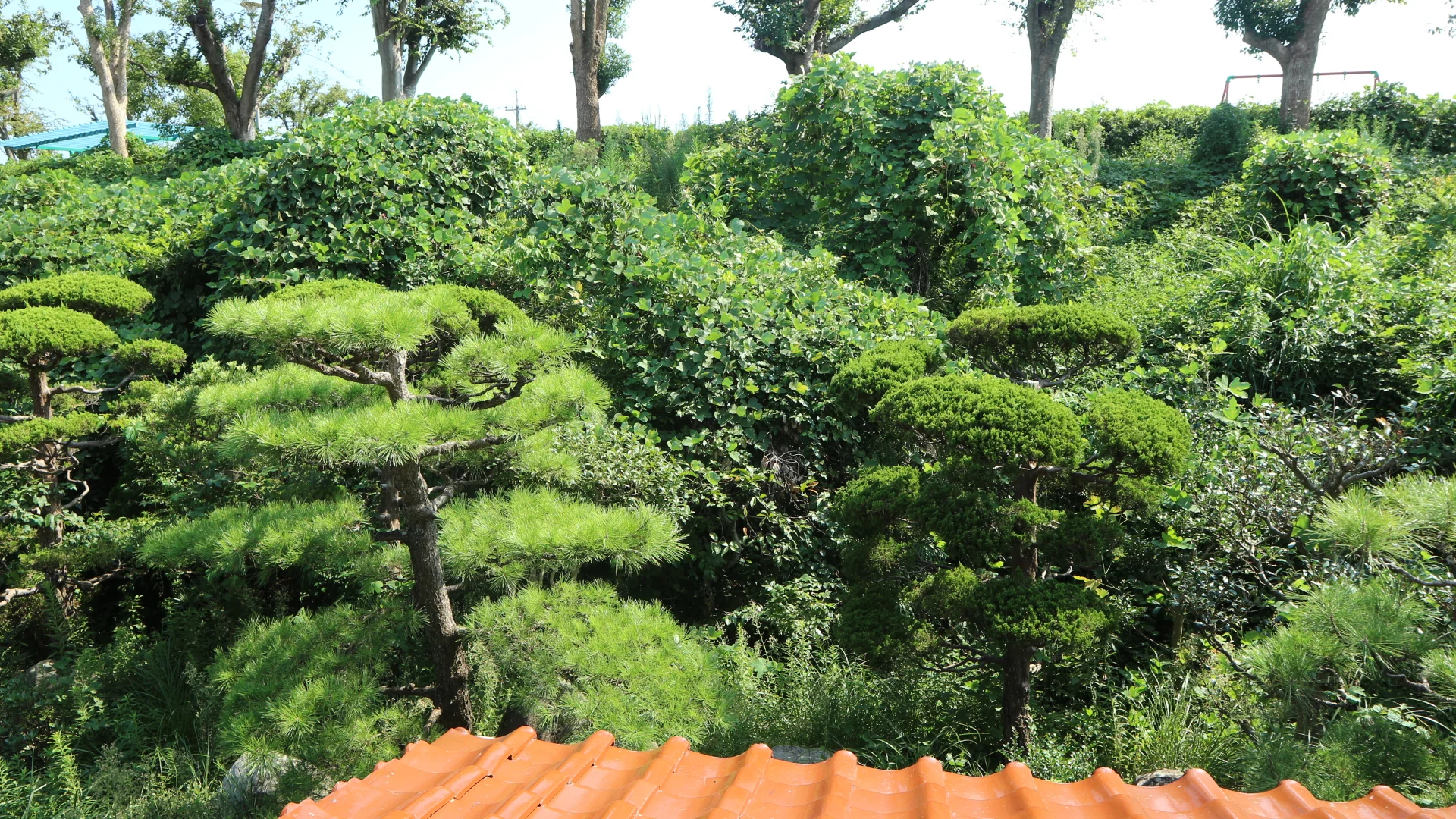 View 5