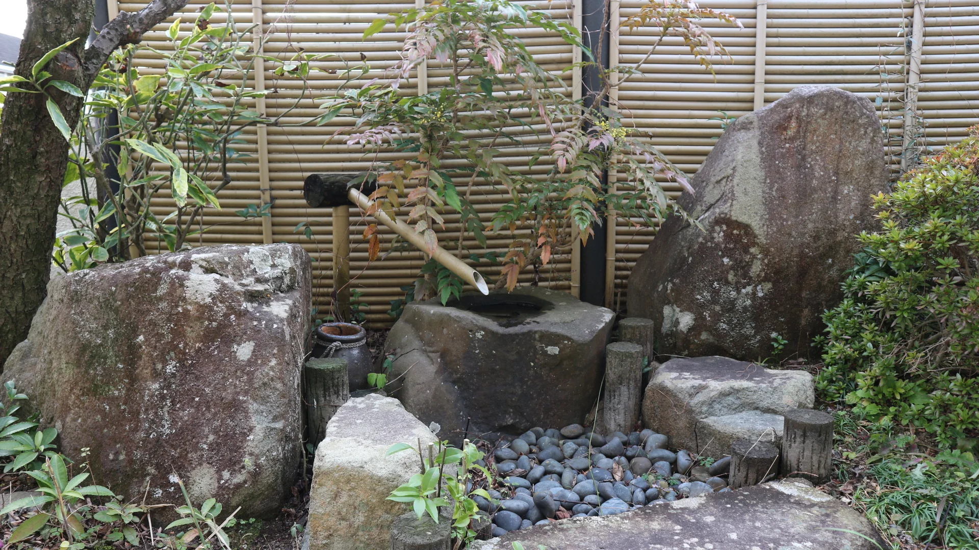 View 8