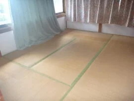View 8