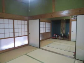 View 4