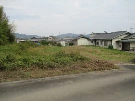View 3