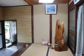 View 5