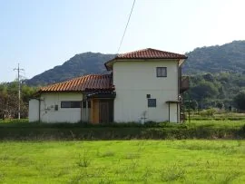View 3