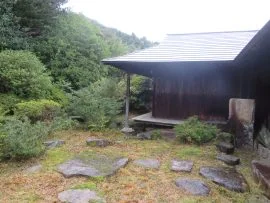 View 15
