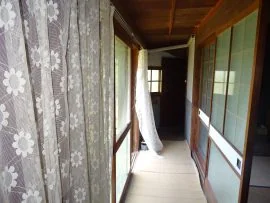 View 11