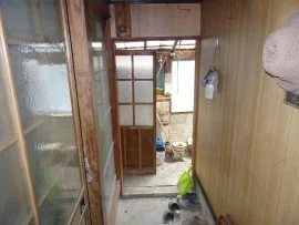 View 25