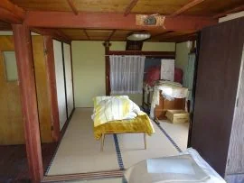 View 32
