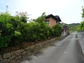 View 33