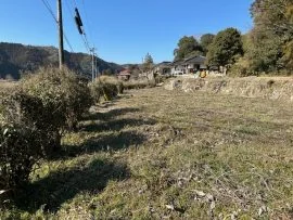 View 3