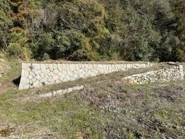 View 4