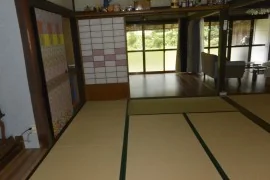 View 5